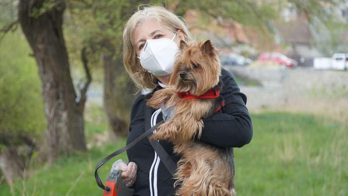 Köpeklerde Yılın Belirli Dönemlerinde Görülen Sağlık Sorunları